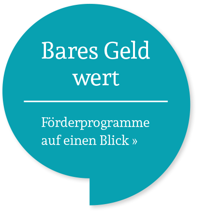 Bares Geld wert: Förderprogramme auf einen Blick